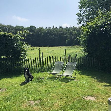 Hof Ter Sysen Villa Loppem Bagian luar foto