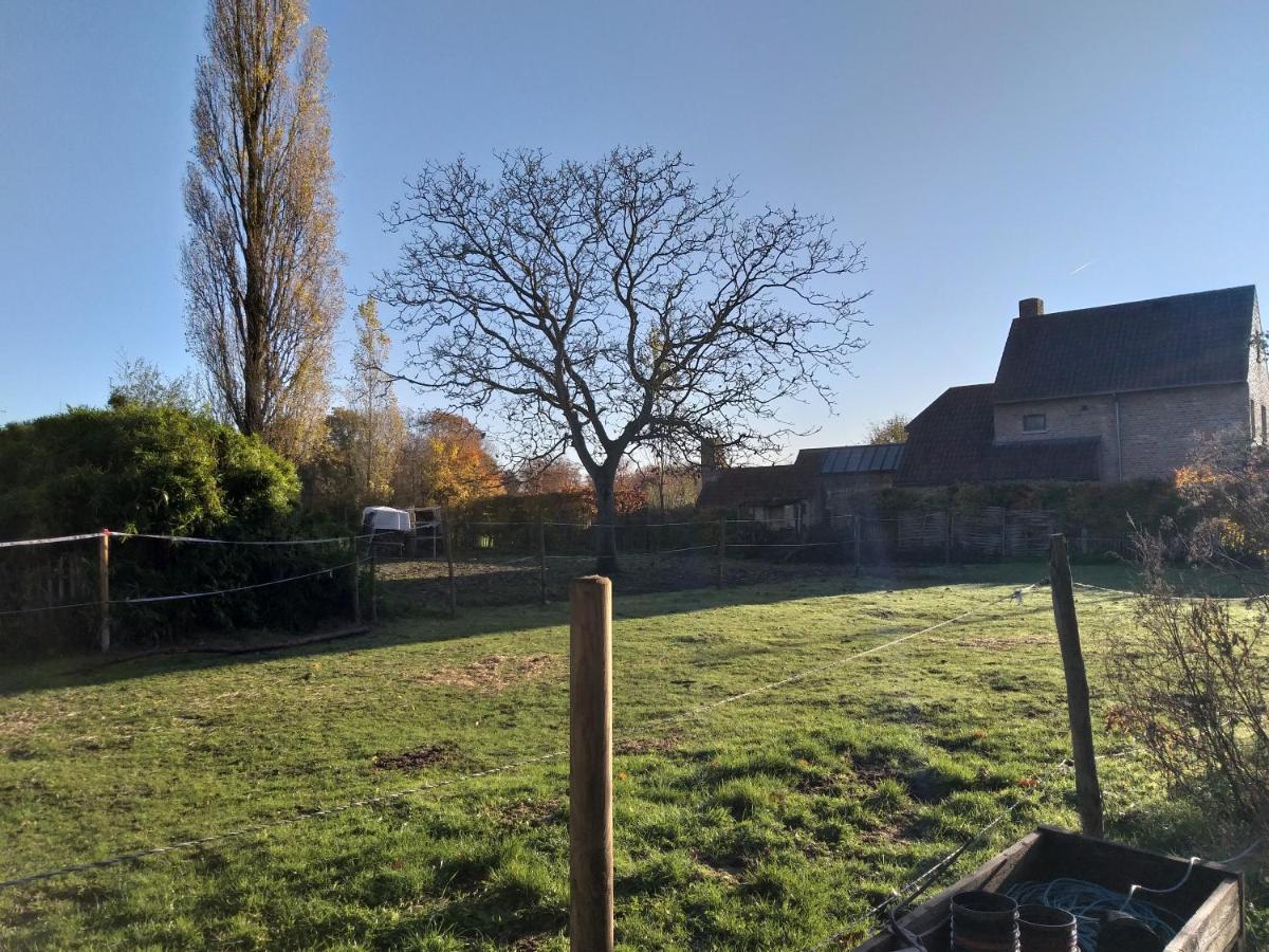 Hof Ter Sysen Villa Loppem Bagian luar foto