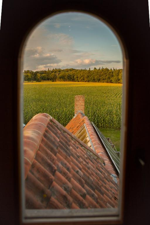 Hof Ter Sysen Villa Loppem Ruang foto